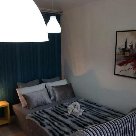 Apartment Comfort In The Downtown